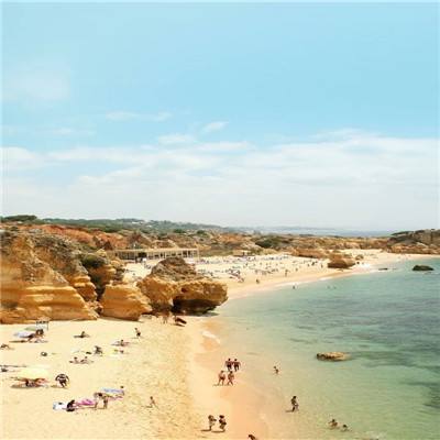 b体育官方app下载下载手机版